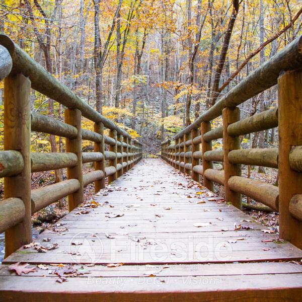 Rustic Bridge
