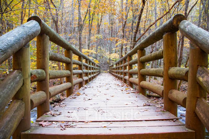 Rustic Bridge