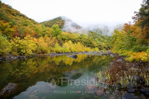 Autumn Reflection