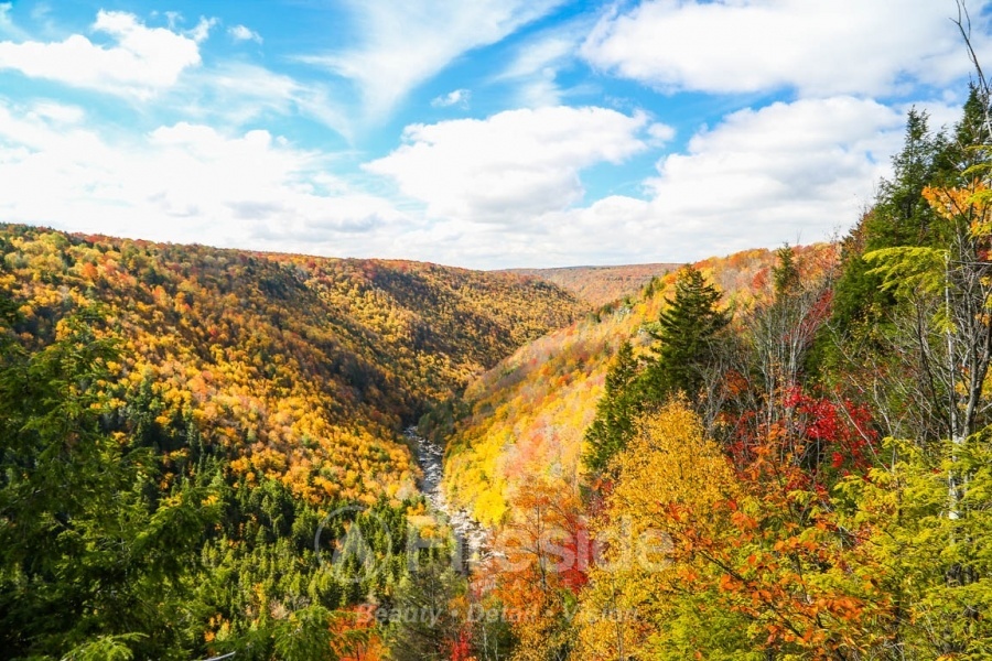 Blackwater Canyon