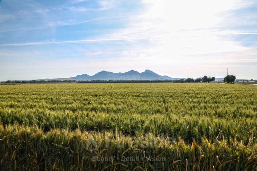 Gold Country