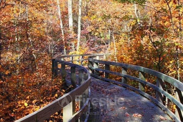 Around The Bend