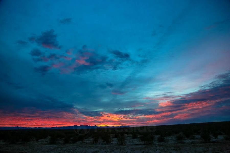 Desert Sunrise