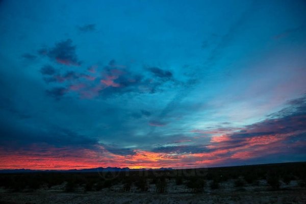 Desert Sunrise