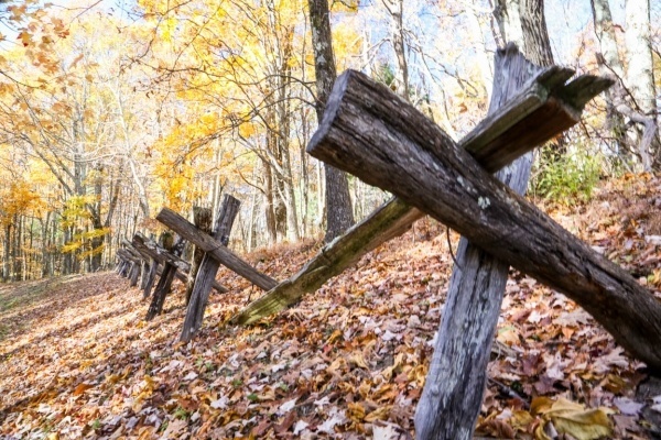 Split Rails