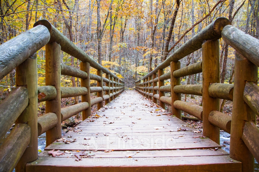 Rustic Bridge