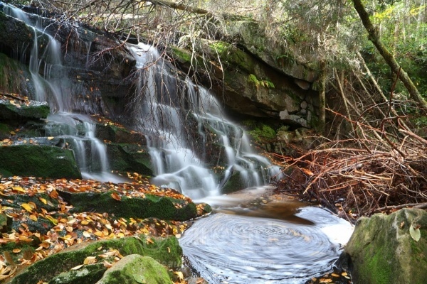 Lower Elakala Falls