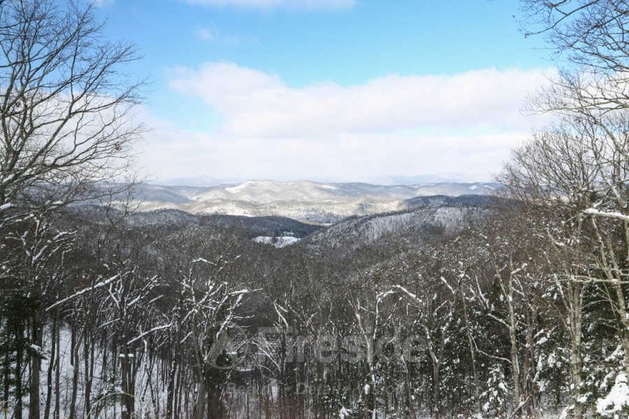 Snowvember