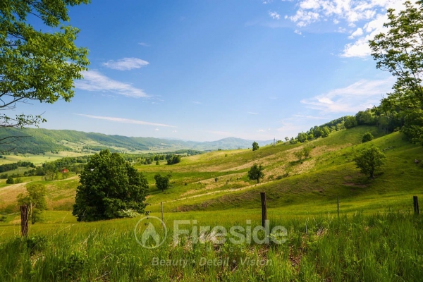 Mountain Pasture