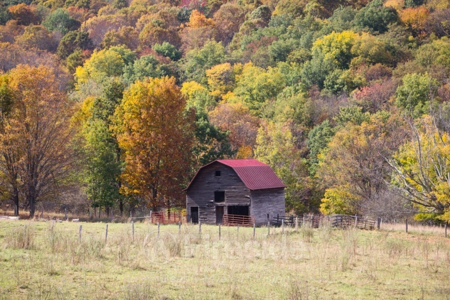 Autumn