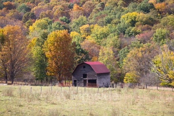 Autumn